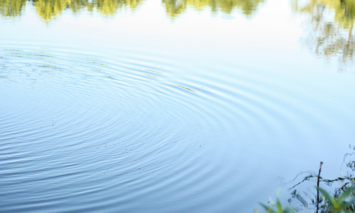 Pond management clinic coming up next month in Wooster