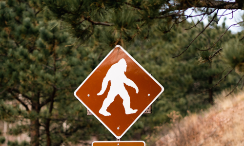 Mohican Bigfoot Festival happening tomorrow in downtown Loudonville