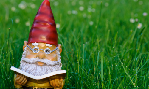 Wayne County Public Library opens new reading garden