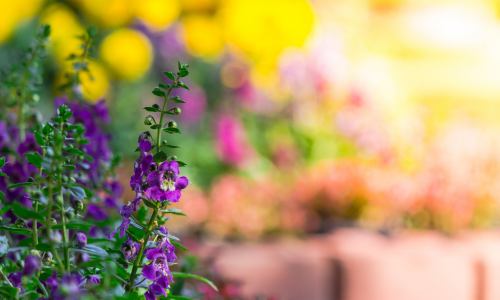 Wayne Co. Home & Garden Show happening this month in Wooster